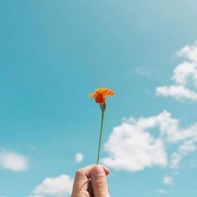 快三平台首页截图