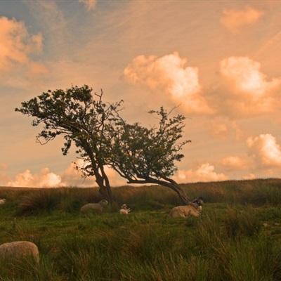 火狐电竞·huohu手机app下载