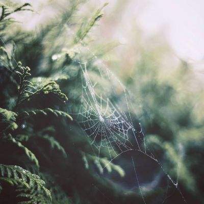 乐动体育app下注下载