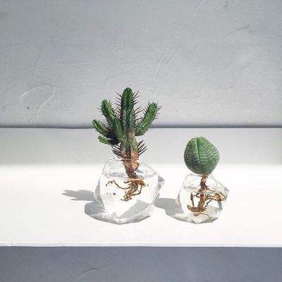 彩信平台官网下载手机版